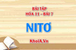 Bài tập Nitơ (N2): Giải bài tập 1, 2, 3, 4, 5 trang 31 SGK Hóa 11 bài 7